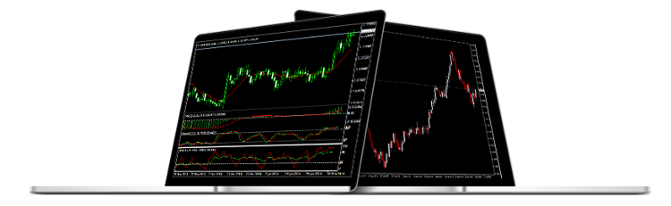 Hotforex mt4 platform