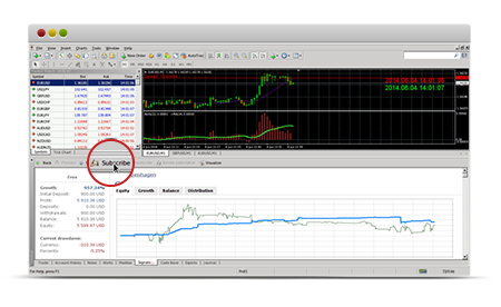 HotForex MetaTrader - Download